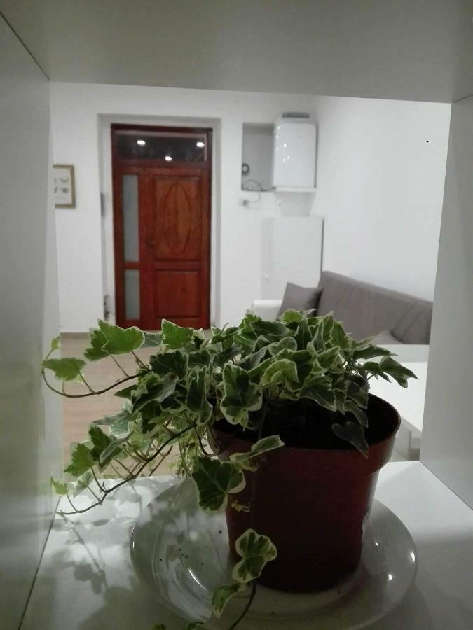 Apartament Al Centro Di Cagliari Zewnętrze zdjęcie
